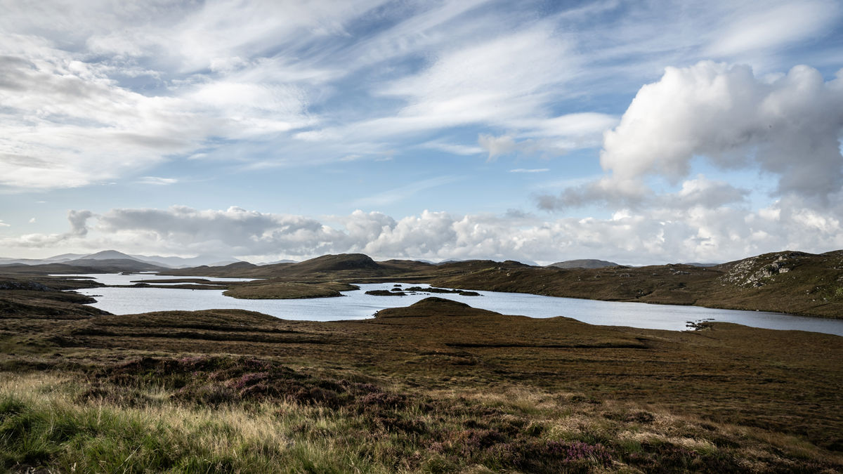 Wide shot of a nature scene