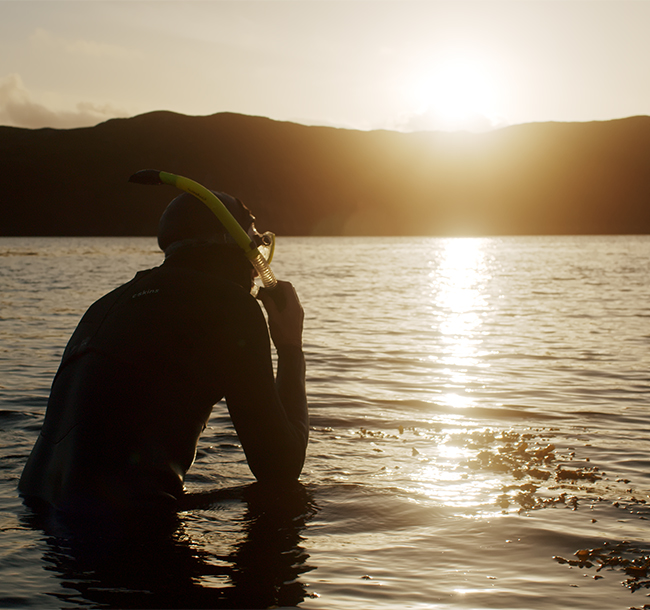 Snorkelling at SCALISCRO, luxury experiences in Scotland